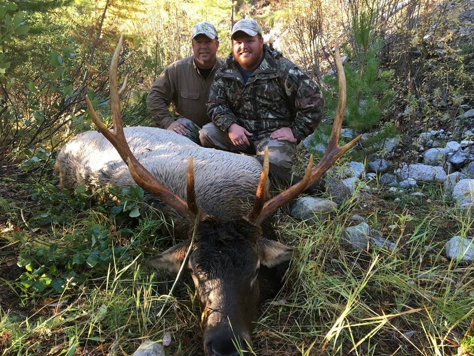 Elk Hunting In Montana| Hunting In Montana| Hunting Outfitters For Elk ...